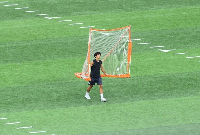 醒葉士域治