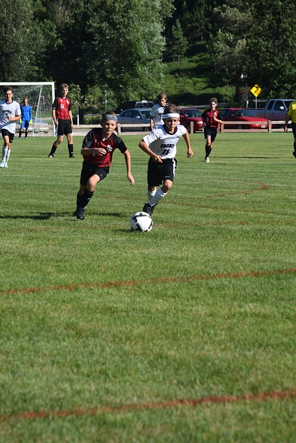 伯恩利虽然 伯恩利虽然