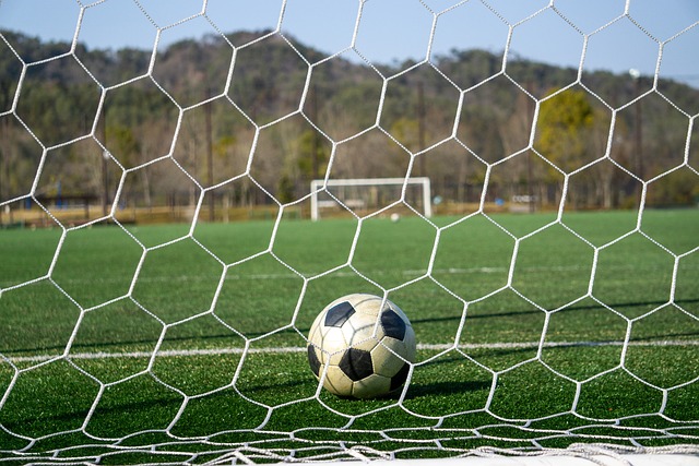 兴慜送出威 兴慜送出威