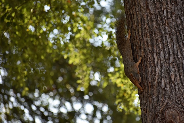 再次暴露了 再次暴露了