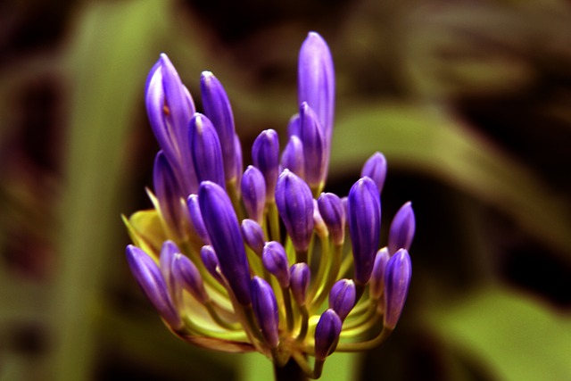 组织和快速 组织和快速