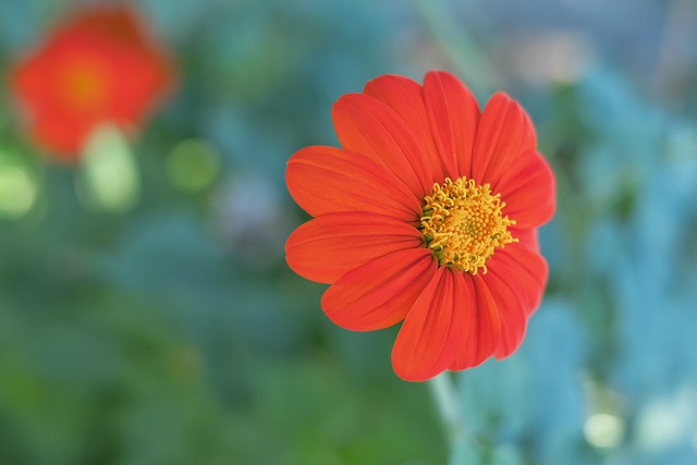 德布劳内 德布劳内