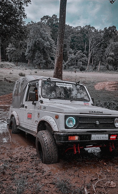 引入更多的 引入更多的