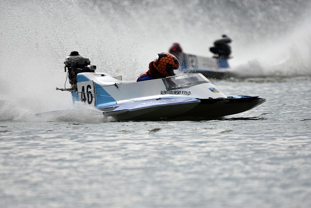 迷和分析师 迷和分析师