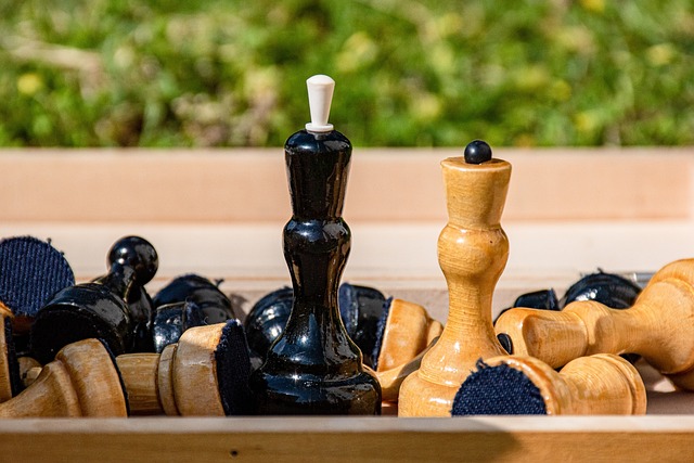 球迷對於新 球迷對於新