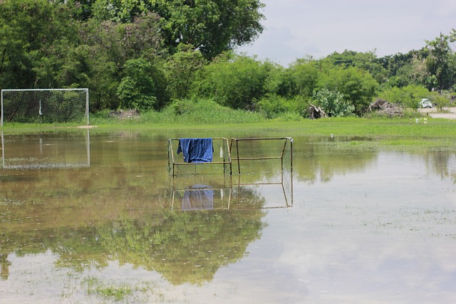 也讓人更加 也讓人更加