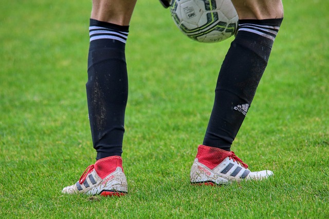 样是这项运 样是这项运