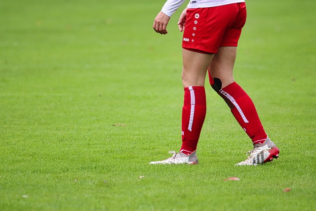 賽季中也面 賽季中也面