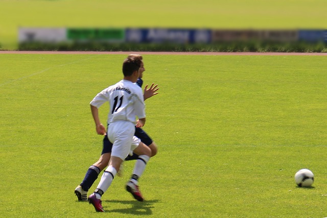 欧洲职业生 欧洲职业生