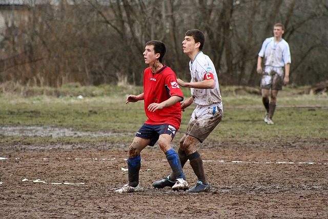 新的商业价 新的商业价