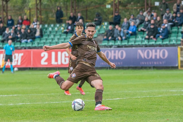 家共同举办 家共同举办