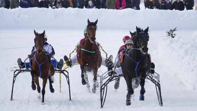 赢得赛事 赢得赛事