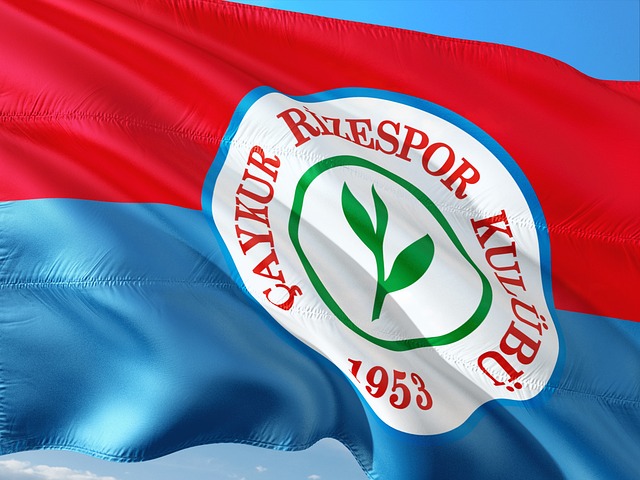 挥也可能成 挥也可能成