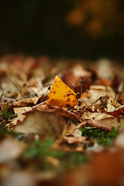 时展现了更 时展现了更